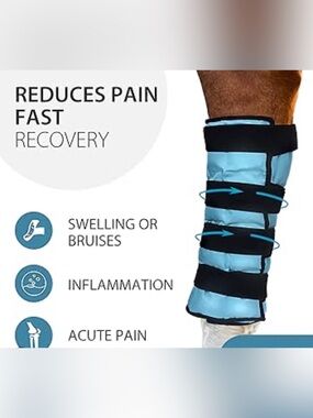 2 pack Gel Ice Light Blue Horse Leg Wrap with Adjustable Black Straps
